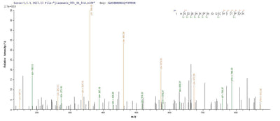 Based on the SEQUEST from database of E.coli host and target protein, the LC-MS/MS Analysis result of this product could indicate that this peptide derived from E.coli-expressed Colwellia psychrerythraea (strain 34H / ATCC BAA-681) (Vibrio psychroerythus) dinB.Recombinant Colwellia Psychrerythraea Dna Polymerase Iv (DINB) Protein (His)
