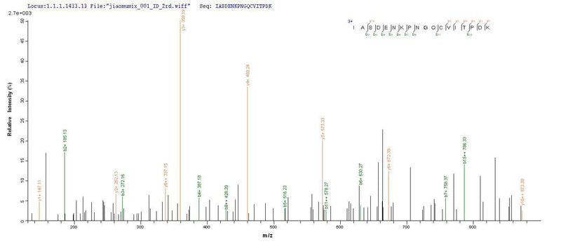 Based on the SEQUEST from database of E.coli host and target protein, the LC-MS/MS Analysis result of this product could indicate that this peptide derived from E.coli-expressed Colwellia psychrerythraea (strain 34H / ATCC BAA-681) (Vibrio psychroerythus) dinB.Recombinant Colwellia Psychrerythraea Dna Polymerase Iv (DINB) Protein (His)
