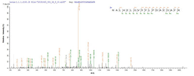 Based on the SEQUEST from database of E.coli host and target protein, the LC-MS/MS Analysis result of this product could indicate that this peptide derived from E.coli-expressed Homo sapiens (Human) ERFE.Recombinant Human Erythroferrone (ERFE) Protein (His-SUMO)