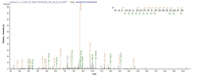 Based on the SEQUEST from database of E.coli host and target protein, the LC-MS/MS Analysis result of this product could indicate that this peptide derived from E.coli-expressed Homo sapiens (Human) ERFE.Recombinant Human Erythroferrone (ERFE) Protein (His-SUMO)