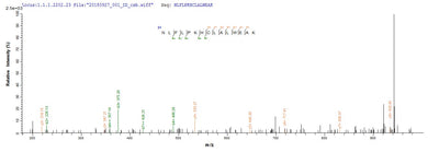Based on the SEQUEST from database of E.coli host and target protein, the LC-MS/MS Analysis result of this product could indicate that this peptide derived from E.coli-expressed Mus musculus (Mouse) Tet2.