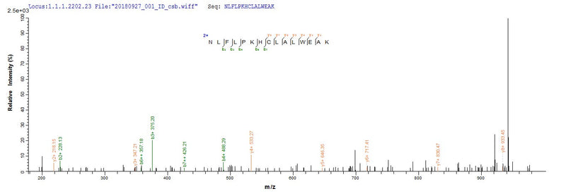 Based on the SEQUEST from database of E.coli host and target protein, the LC-MS/MS Analysis result of this product could indicate that this peptide derived from E.coli-expressed Mus musculus (Mouse) Tet2.