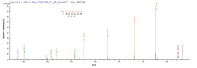 Based on the SEQUEST from database of E.coli host and target protein, the LC-MS/MS Analysis result of this product could indicate that this peptide derived from E.coli-expressed Mus musculus (Mouse) Tet2.