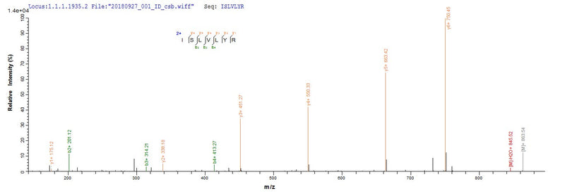 Based on the SEQUEST from database of E.coli host and target protein, the LC-MS/MS Analysis result of this product could indicate that this peptide derived from E.coli-expressed Mus musculus (Mouse) Tet2.