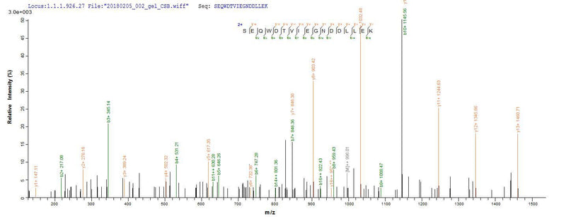 Based on the SEQUEST from database of E.coli host and target protein, the LC-MS/MS Analysis result of this product could indicate that this peptide derived from E.coli-expressed Staphylococcus aureus tetM.Recombinant Staphylococcus Aureus Tetracycline Resistance Protein Tetm (TETM) Protein (His&Myc)