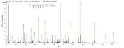 Based on the SEQUEST from database of E.coli host and target protein, the LC-MS/MS Analysis result of this product could indicate that this peptide derived from E.coli-expressed Staphylococcus aureus tetM.Recombinant Staphylococcus Aureus Tetracycline Resistance Protein Tetm (TETM) Protein (His&Myc)