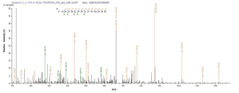 Based on the SEQUEST from database of E.coli host and target protein, the LC-MS/MS Analysis result of this product could indicate that this peptide derived from E.coli-expressed Staphylococcus aureus tetM.Recombinant Staphylococcus Aureus Tetracycline Resistance Protein Tetm (TETM) Protein (His&Myc)