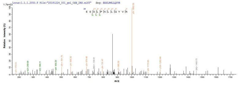 Based on the SEQUEST from database of E.coli host and target protein, the LC-MS/MS Analysis result of this product could indicate that this peptide derived from E.coli-expressed Homo sapiens (Human) KLHL12.