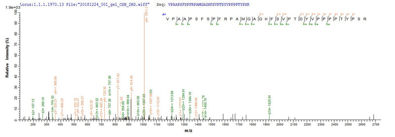 Based on the SEQUEST from database of E.coli host and target protein, the LC-MS/MS Analysis result of this product could indicate that this peptide derived from E.coli-expressed Mus musculus (Mouse) Zc3h12a.Recombinant Mouse Endoribonuclease Zc3H12A (ZC3H12A) Protein (His&Myc)