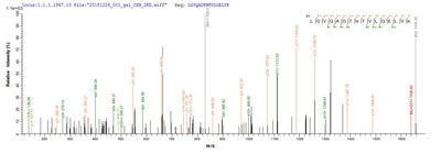 Based on the SEQUEST from database of E.coli host and target protein, the LC-MS/MS Analysis result of this product could indicate that this peptide derived from E.coli-expressed Mus musculus (Mouse) Zc3h12a.Recombinant Mouse Endoribonuclease Zc3H12A (ZC3H12A) Protein (His&Myc)