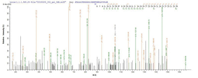 Based on the SEQUEST from database of E.coli host and target protein, the LC-MS/MS Analysis result of this product could indicate that this peptide derived from E.coli-expressed Homo sapiens (Human) CT83.Recombinant Human Kita-Kyushu Lung Cancer Antigen 1 (CT83) Protein (His-B2M)
