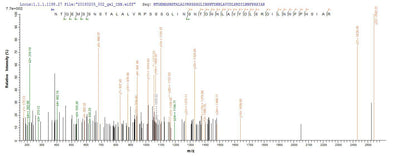 Based on the SEQUEST from database of E.coli host and target protein, the LC-MS/MS Analysis result of this product could indicate that this peptide derived from E.coli-expressed Homo sapiens (Human) CT83.Recombinant Human Kita-Kyushu Lung Cancer Antigen 1 (CT83) Protein (His-B2M)