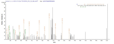 Based on the SEQUEST from database of E.coli host and target protein, the LC-MS/MS Analysis result of this product could indicate that this peptide derived from E.coli-expressed Mus musculus (Mouse) Cr1l.Recombinant Mouse Complement Component Receptor 1-Like Protein (CR1L) Protein (His)