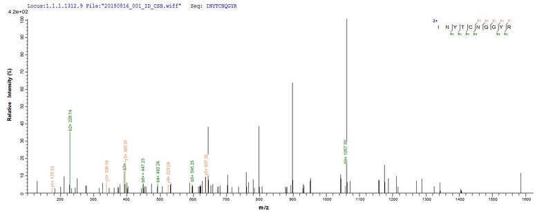 Based on the SEQUEST from database of E.coli host and target protein, the LC-MS/MS Analysis result of this product could indicate that this peptide derived from E.coli-expressed Mus musculus (Mouse) Cr1l.Recombinant Mouse Complement Component Receptor 1-Like Protein (CR1L) Protein (His)