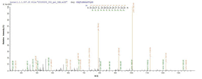 Based on the SEQUEST from database of E.coli host and target protein, the LC-MS/MS Analysis result of this product could indicate that this peptide derived from E.coli-expressed Homo sapiens (Human) FCRL6.Recombinant Human Fc Receptor-Like Protein 6 (FCRL6) Protein (His)
