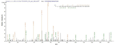 Based on the SEQUEST from database of E.coli host and target protein, the LC-MS/MS Analysis result of this product could indicate that this peptide derived from E.coli-expressed Homo sapiens (Human) FCRL6.Recombinant Human Fc Receptor-Like Protein 6 (FCRL6) Protein (His)