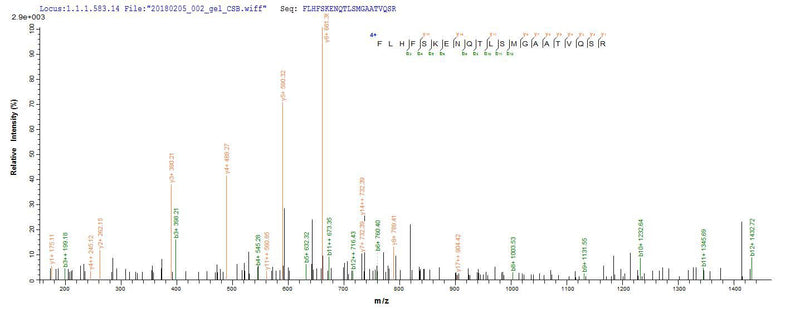 Based on the SEQUEST from database of E.coli host and target protein, the LC-MS/MS Analysis result of this product could indicate that this peptide derived from E.coli-expressed Homo sapiens (Human) FCRL6.Recombinant Human Fc Receptor-Like Protein 6 (FCRL6) Protein (His)