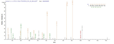 Based on the SEQUEST from database of E.coli host and target protein, the LC-MS/MS Analysis result of this product could indicate that this peptide derived from E.coli-expressed Mus musculus (Mouse) Ripk1.Recombinant Mouse Receptor-Interacting Serine/Threonine-Protein Kinase 1 (RIPK1) Protein (His)
