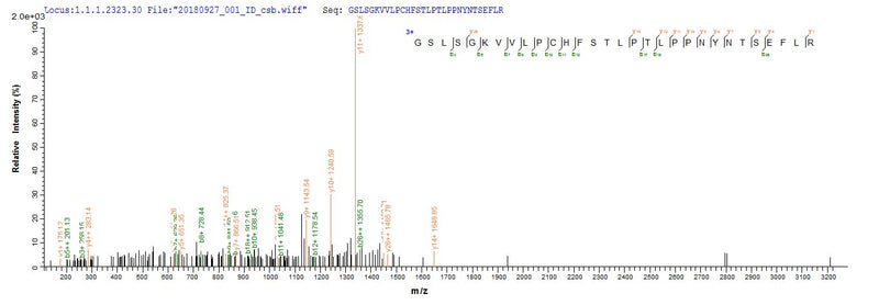 Based on the SEQUEST from database of E.coli host and target protein, the LC-MS/MS Analysis result of this product could indicate that this peptide derived from E.coli-expressed Mus musculus (Mouse) Vcan.Recombinant Mouse Versican Core Protein (VCAN) Protein (His&Myc)