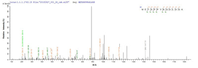 Based on the SEQUEST from database of E.coli host and target protein, the LC-MS/MS Analysis result of this product could indicate that this peptide derived from E.coli-expressed Mus musculus (Mouse) Vcan.Recombinant Mouse Versican Core Protein (VCAN) Protein (His&Myc)