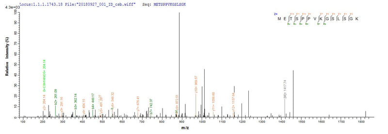 Based on the SEQUEST from database of E.coli host and target protein, the LC-MS/MS Analysis result of this product could indicate that this peptide derived from E.coli-expressed Mus musculus (Mouse) Vcan.Recombinant Mouse Versican Core Protein (VCAN) Protein (His&Myc)