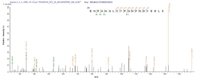 Based on the SEQUEST from database of E.coli host and target protein, the LC-MS/MS Analysis result of this product could indicate that this peptide derived from E.coli-expressed Influenza A virus (strain A/Mallard/New York/6750/1978 H2N2) HA.Recombinant Influenza A Virus Hemagglutinin (HA) Protein (His-SUMO)
