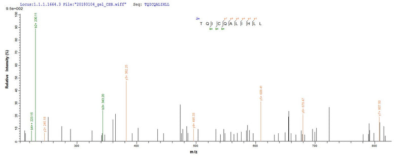 Based on the SEQUEST from database of E.coli host and target protein, the LC-MS/MS Analysis result of this product could indicate that this peptide derived from E.coli-expressed Homo sapiens (Human) HEATR6.Recombinant Human Heat Repeat-Containing Protein 6 (HEATR6) Protein (His&Myc)