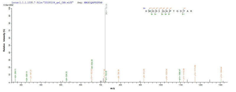 Based on the SEQUEST from database of E.coli host and target protein, the LC-MS/MS Analysis result of this product could indicate that this peptide derived from E.coli-expressed Homo sapiens (Human) HEATR6.Recombinant Human Heat Repeat-Containing Protein 6 (HEATR6) Protein (His&Myc)