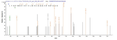 Based on the SEQUEST from database of E.coli host and target protein, the LC-MS/MS Analysis result of this product could indicate that this peptide derived from E.coli-expressed Mus musculus (Mouse) Dsg1a.Recombinant Mouse Desmoglein-1-Alpha (DSG1A) Protein (His-SUMO&Myc)