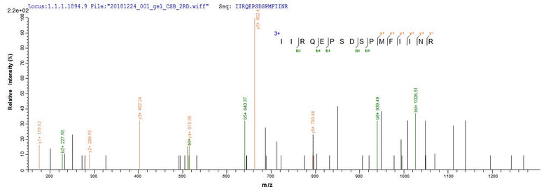 Based on the SEQUEST from database of E.coli host and target protein, the LC-MS/MS Analysis result of this product could indicate that this peptide derived from E.coli-expressed Mus musculus (Mouse) Dsg1a.Recombinant Mouse Desmoglein-1-Alpha (DSG1A) Protein (His-SUMO&Myc)