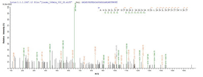Based on the SEQUEST from database of E.coli host and target protein, the LC-MS/MS Analysis result of this product could indicate that this peptide derived from E.coli-expressed Homo sapiens (Human) ERVK-6.Recombinant Human Endogenous Retrovirus Group K Member 6 Env Polyprotein (ERVK-6) Protein (His-SUMO)