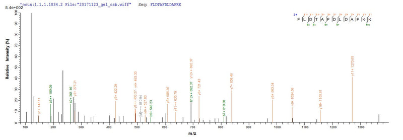 Based on the SEQUEST from database of E.coli host and target protein, the LC-MS/MS Analysis result of this product could indicate that this peptide derived from E.coli-expressed Mus musculus (Mouse) Ogdh.Recombinant Mouse 2-Oxoglutarate Dehydrogenase, Mitochondrial (OGDH) Protein (His-SUMO)