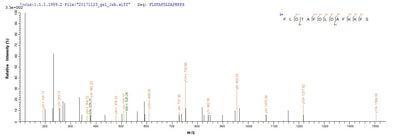 Based on the SEQUEST from database of E.coli host and target protein, the LC-MS/MS Analysis result of this product could indicate that this peptide derived from E.coli-expressed Mus musculus (Mouse) Ogdh.Recombinant Mouse 2-Oxoglutarate Dehydrogenase, Mitochondrial (OGDH) Protein (His-SUMO)