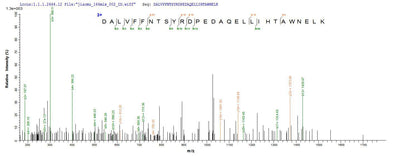 Based on the SEQUEST from database of E.coli host and target protein, the LC-MS/MS Analysis result of this product could indicate that this peptide derived from E.coli-expressed Mus musculus (Mouse) Musk.Recombinant Mouse Muscle, Skeletal Receptor Tyrosine-Protein Kinase (MUSK) Protein (His-SUMO&Myc)