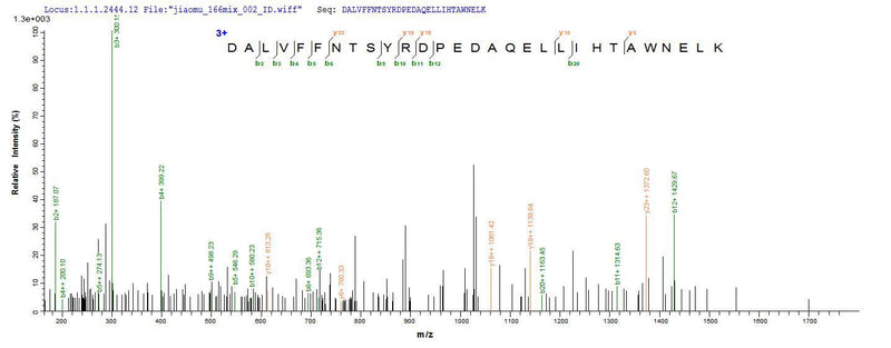 Based on the SEQUEST from database of E.coli host and target protein, the LC-MS/MS Analysis result of this product could indicate that this peptide derived from E.coli-expressed Mus musculus (Mouse) Musk.Recombinant Mouse Muscle, Skeletal Receptor Tyrosine-Protein Kinase (MUSK) Protein (His-SUMO&Myc)