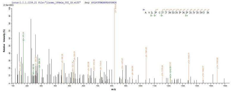Based on the SEQUEST from database of E.coli host and target protein, the LC-MS/MS Analysis result of this product could indicate that this peptide derived from E.coli-expressed Mus musculus (Mouse) Musk.Recombinant Mouse Muscle, Skeletal Receptor Tyrosine-Protein Kinase (MUSK) Protein (His-SUMO&Myc)