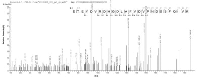 Based on the SEQUEST from database of E.coli host and target protein, the LC-MS/MS Analysis result of this product could indicate that this peptide derived from E.coli-expressed Mus musculus (Mouse) Arg1.Recombinant Mouse Arginase-1 (ARG1) Protein (His-SUMO)