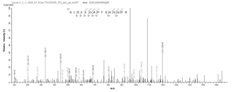 Based on the SEQUEST from database of E.coli host and target protein, the LC-MS/MS Analysis result of this product could indicate that this peptide derived from E.coli-expressed Mus musculus (Mouse) Arg1.Recombinant Mouse Arginase-1 (ARG1) Protein (His-SUMO)