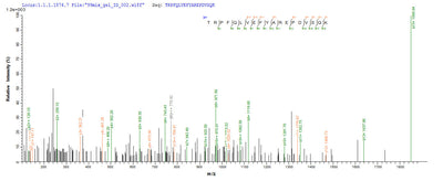 Based on the SEQUEST from database of E.coli host and target protein, the LC-MS/MS Analysis result of this product could indicate that this peptide derived from E.coli-expressed Felis catus (Cat) (Felis silvestris catus) Fel d 4.Recombinant Cat Allergen Fel D 4 Protein (His-SUMO)