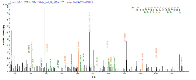 Based on the SEQUEST from database of E.coli host and target protein, the LC-MS/MS Analysis result of this product could indicate that this peptide derived from E.coli-expressed Felis catus (Cat) (Felis silvestris catus) Fel d 4.Recombinant Cat Allergen Fel D 4 Protein (His-SUMO)