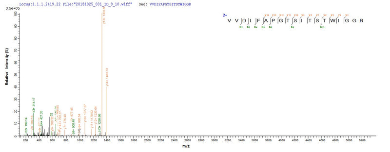 Based on the SEQUEST from database of E.coli host and target protein, the LC-MS/MS Analysis result of this product could indicate that this peptide derived from E.coli-expressed Lecanicillium psalliotae (Verticillium psalliotae) N/A.