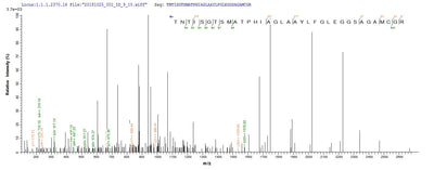 Based on the SEQUEST from database of E.coli host and target protein, the LC-MS/MS Analysis result of this product could indicate that this peptide derived from E.coli-expressed Lecanicillium psalliotae (Verticillium psalliotae) N/A.