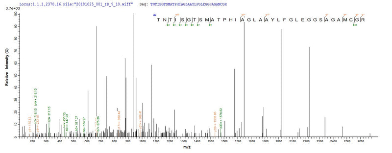 Based on the SEQUEST from database of E.coli host and target protein, the LC-MS/MS Analysis result of this product could indicate that this peptide derived from E.coli-expressed Lecanicillium psalliotae (Verticillium psalliotae) N/A.