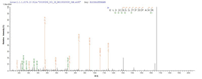 Based on the SEQUEST from database of E.coli host and target protein, the LC-MS/MS Analysis result of this product could indicate that this peptide derived from E.coli-expressed Candida glabrata (strain ATCC 2001 / CBS 138 / JCM 3761 / NBRC 0622 / NRRL Y-65) (Yeast) (Torulopsis glabrata) ATG1.Recombinant Candida Glabrata Serine/Threonine-Protein Kinase Atg1 (ATG1) Protein (His)
