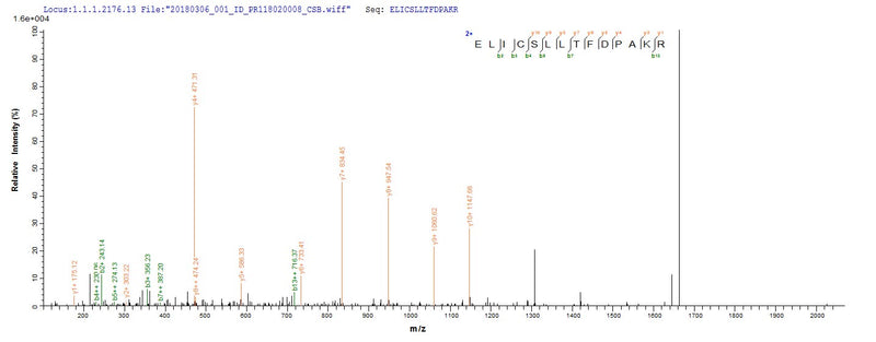 Based on the SEQUEST from database of E.coli host and target protein, the LC-MS/MS Analysis result of this product could indicate that this peptide derived from E.coli-expressed Candida glabrata (strain ATCC 2001 / CBS 138 / JCM 3761 / NBRC 0622 / NRRL Y-65) (Yeast) (Torulopsis glabrata) ATG1.Recombinant Candida Glabrata Serine/Threonine-Protein Kinase Atg1 (ATG1) Protein (His)