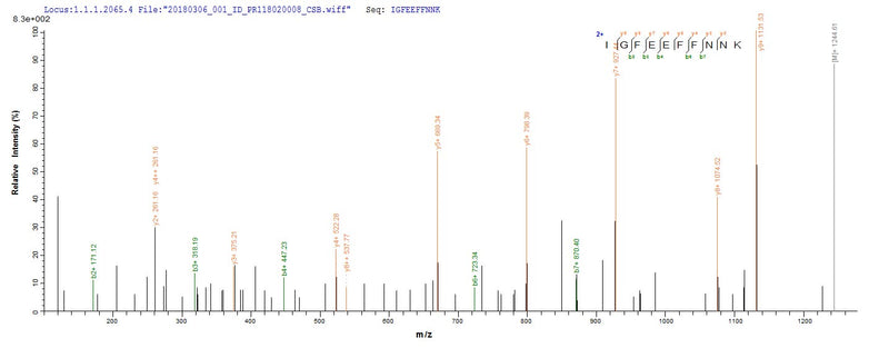 Based on the SEQUEST from database of E.coli host and target protein, the LC-MS/MS Analysis result of this product could indicate that this peptide derived from E.coli-expressed Candida glabrata (strain ATCC 2001 / CBS 138 / JCM 3761 / NBRC 0622 / NRRL Y-65) (Yeast) (Torulopsis glabrata) ATG1.Recombinant Candida Glabrata Serine/Threonine-Protein Kinase Atg1 (ATG1) Protein (His)