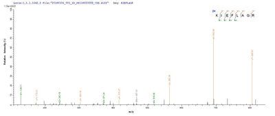 Based on the SEQUEST from database of E.coli host and target protein, the LC-MS/MS Analysis result of this product could indicate that this peptide derived from E.coli-expressed Staphylococcus aureus (strain MRSA252) acpS.Recombinant Staphylococcus Aureus Holo-[Acyl-Carrier-Protein] Synthase (ACPS) Protein (His-SUMO)