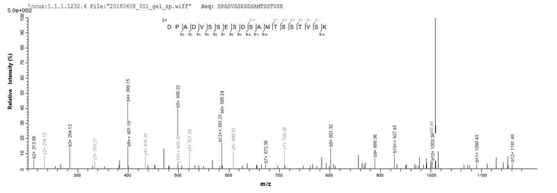 Based on the SEQUEST from database of E.coli host and target protein, the LC-MS/MS Analysis result of this product could indicate that this peptide derived from E.coli-expressed Homo sapiens (Human) ATG14.Recombinant Human Beclin 1-Associated Autophagy-Related Key Regulator (ATG14) Protein (His&Myc)