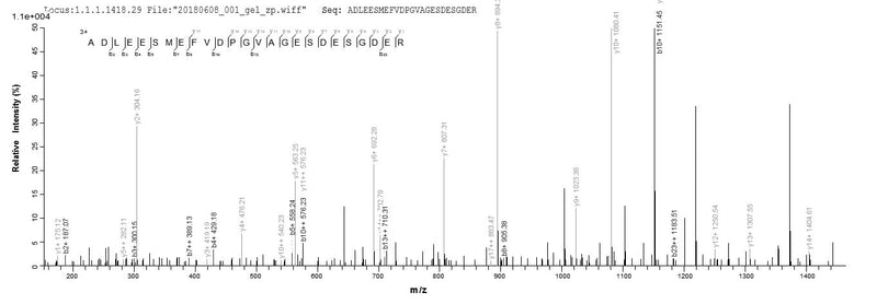 Based on the SEQUEST from database of E.coli host and target protein, the LC-MS/MS Analysis result of this product could indicate that this peptide derived from E.coli-expressed Homo sapiens (Human) ATG14.Recombinant Human Beclin 1-Associated Autophagy-Related Key Regulator (ATG14) Protein (His&Myc)