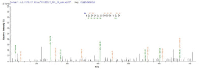 Based on the SEQUEST from database of E.coli host and target protein, the LC-MS/MS Analysis result of this product could indicate that this peptide derived from E.coli-expressed Mus musculus (Mouse) Adamts13.Recombinant Mouse A Disintegrin And Metalloproteinase With Thrombospondin Motifs 13 (ADAMTS13) Protein (His&Myc)